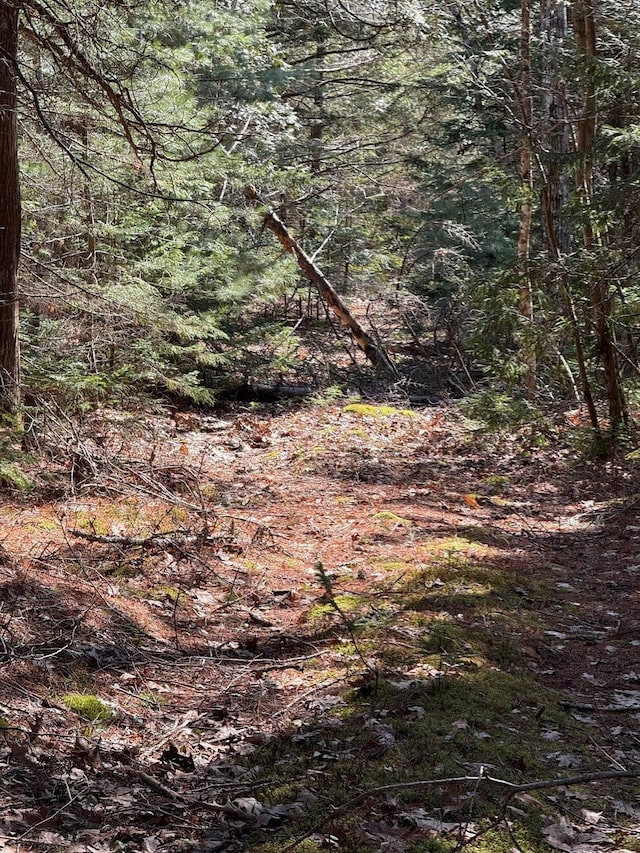 LOT48A Rte 1, Gouldsboro, ME 04607