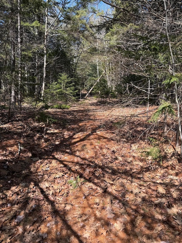 LOT48A Rte 1, Gouldsboro, ME 04607