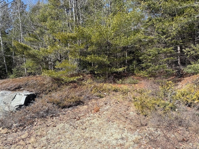 LOT48A Rte 1, Gouldsboro, ME 04607