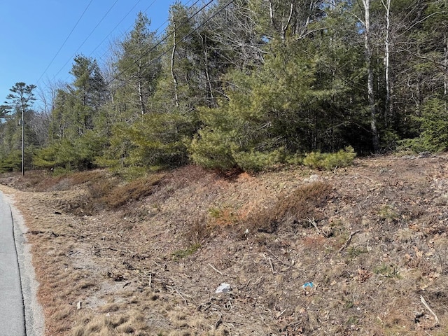 LOT48A Rte 1, Gouldsboro, ME 04607