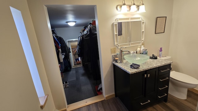 341 E Andover Rd, Andover, ME 04226 - bathroom with vanity, wood finished floors, a spacious closet, and toilet