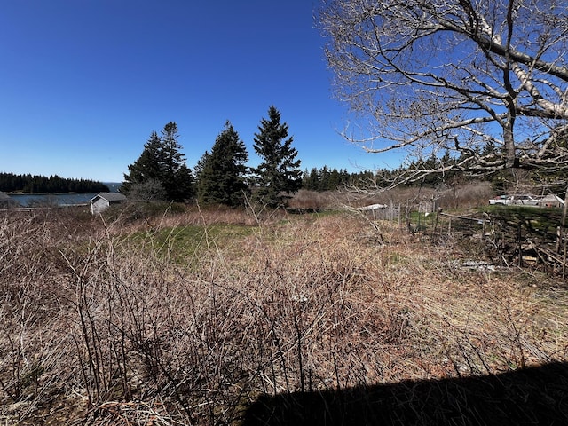 448 Main Rd, Isle Au Haut, ME 04645 - view of nature