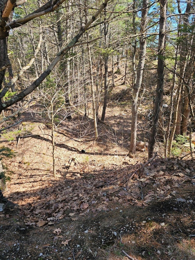view of landscape