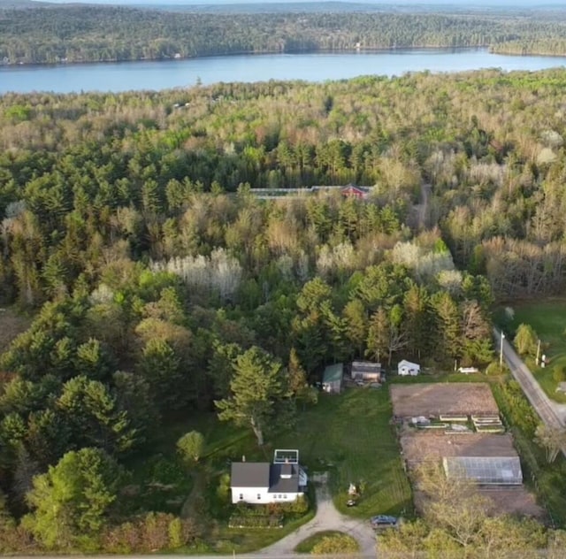 314 Back Ridge Rd, Orland, ME 04472 - aerial view of property's location featuring a forest and a nearby body of water