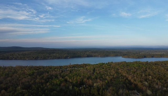 314 Back Ridge Rd, Orland, ME 04472 - water view with a forest