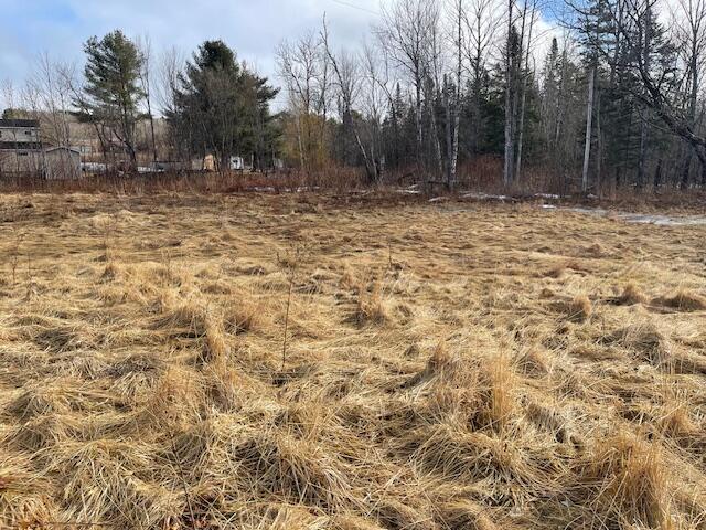 387 Main St, Mattawamkeag, ME 04459 - view of yard