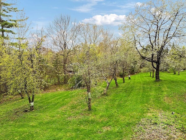 222 Ward Rd, Augusta, ME 04330 - view of local wilderness