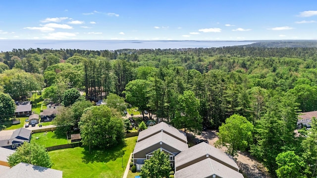 161 Saco Ave Unit 404, Old Orchard Beach, ME 04064 - aerial view of a heavily wooded area