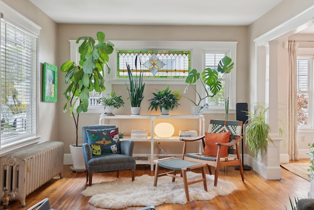 14 Codman St, Portland, ME 04103 - living area featuring radiator heating unit, wood finished floors, and ornate columns
