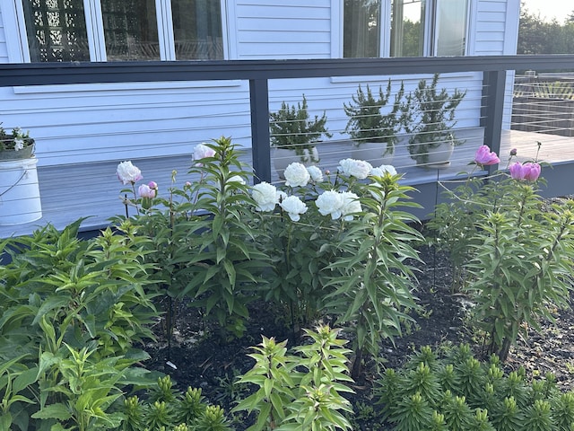 157 Ellsworth Rd, Blue Hill, ME 04614 - exterior view
