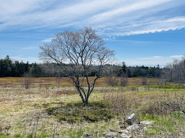 157 Ellsworth Rd, Blue Hill, ME 04614 - view of yard featuring a view of countryside and a view of trees