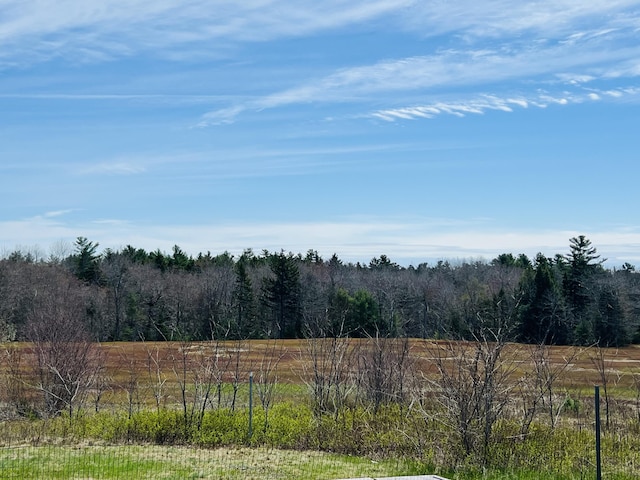 157 Ellsworth Rd, Blue Hill, ME 04614 - view of yard with a wooded view and a view of rural / pastoral area