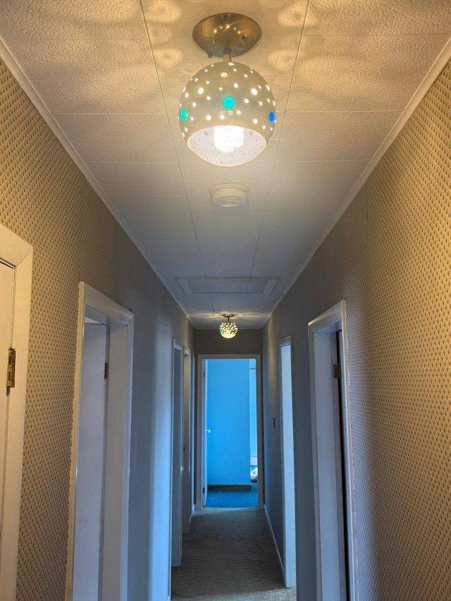 hallway with attic access, carpet, and ornamental molding
