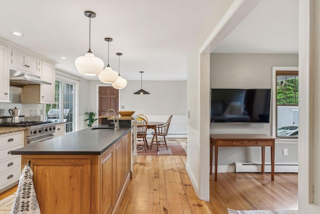26 Hunts Point Rd, Cape Elizabeth, ME 04107 - kitchen featuring a sink, under cabinet range hood, a baseboard heating unit, high end stainless steel range, and plenty of natural light