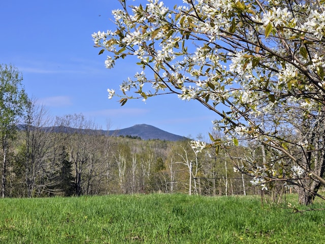22 Bray Hill Rd, Phillips, ME 04966
