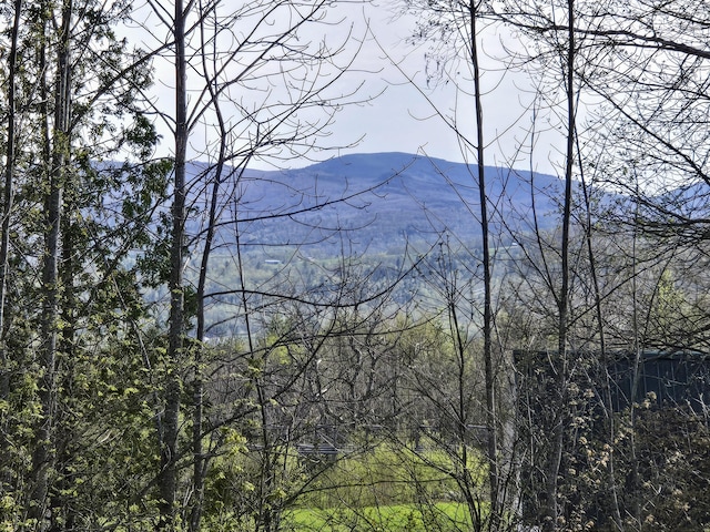 22 Bray Hill Rd, Phillips, ME 04966