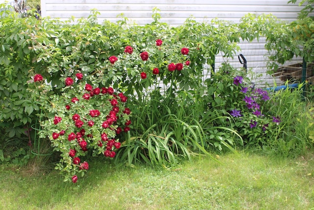 13 Halde St, Waterville, ME 04901 - view of yard