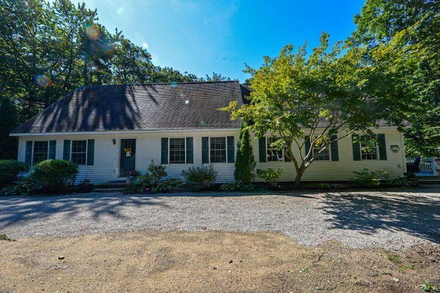 16 Dragonfly Ln, Kennebunkport, ME 04046 - view of cape cod house