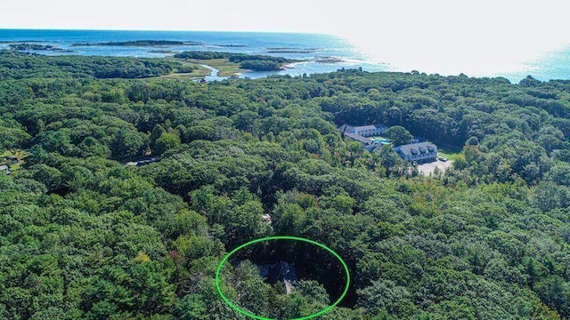 16 Dragonfly Ln, Kennebunkport, ME 04046 - aerial view of a forest and a large body of water