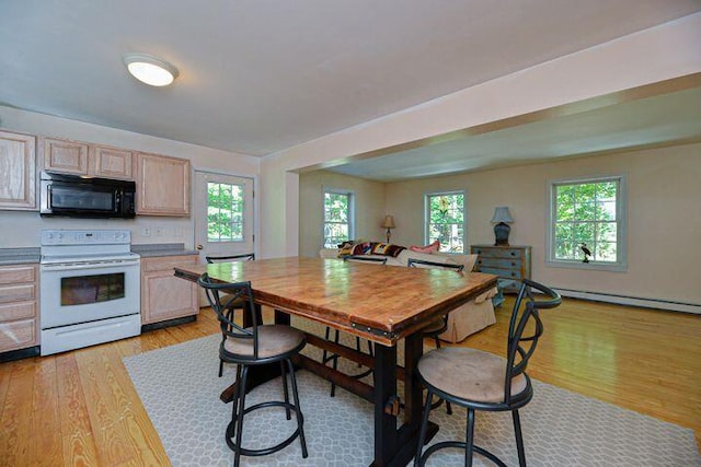 16 Dragonfly Ln, Kennebunkport, ME 04046 - dining space with light wood-type flooring and a baseboard heating unit