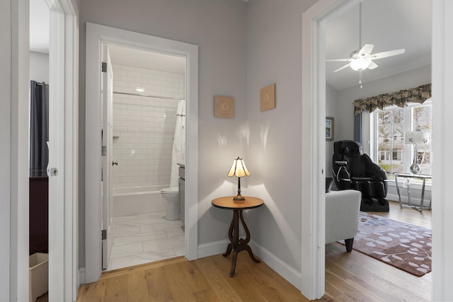 3 Flagship Cir, Kennebunk, ME 04043 - corridor with baseboards and light wood finished floors