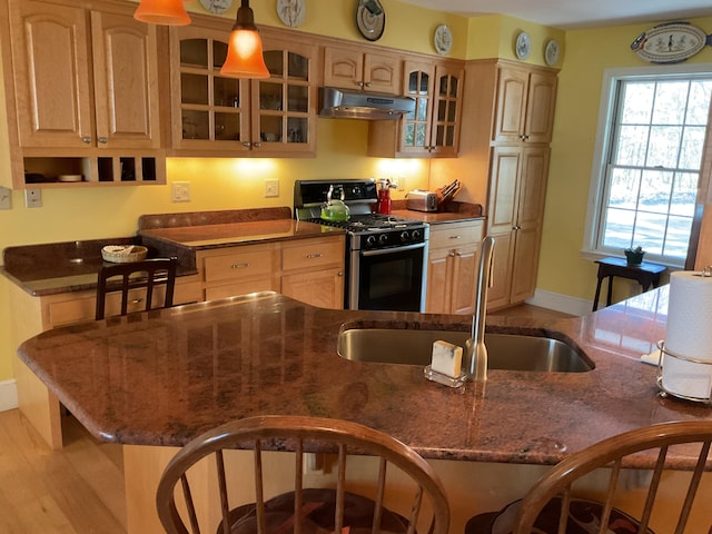 kitchen with range with gas stovetop, glass insert cabinets, baseboards, under cabinet range hood, and a sink