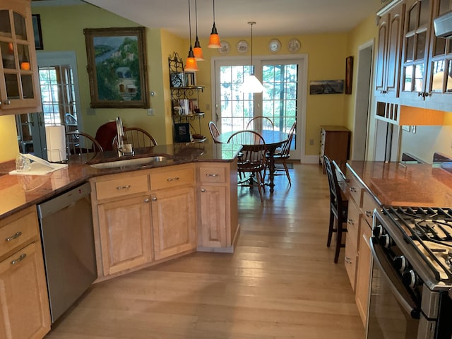 kitchen with light wood finished floors, dishwasher, light brown cabinets, and a wealth of natural light