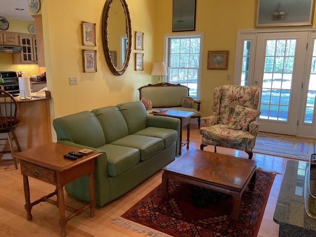 living room with light wood-type flooring