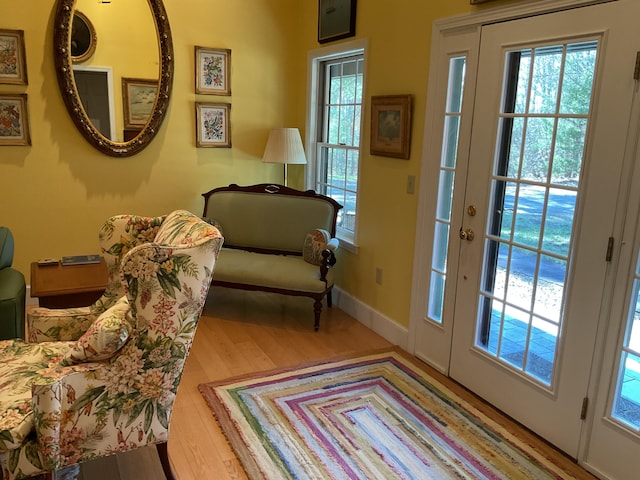 living area featuring baseboards, plenty of natural light, and wood finished floors