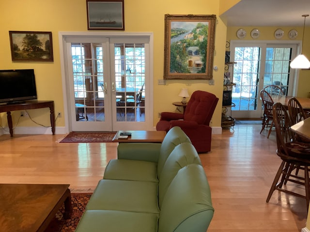 living room featuring baseboards, plenty of natural light, and wood finished floors