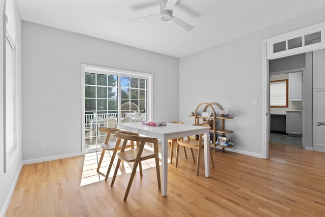 36 Fort Hill Ave, York, ME 03909 - dining room with a ceiling fan, baseboards, and light wood-style floors