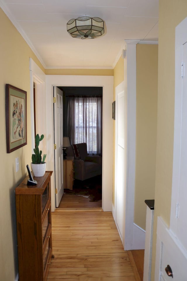 hallway featuring light wood-type flooring and ornamental molding