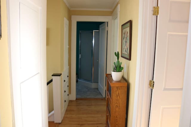 corridor featuring crown molding and light wood-style floors