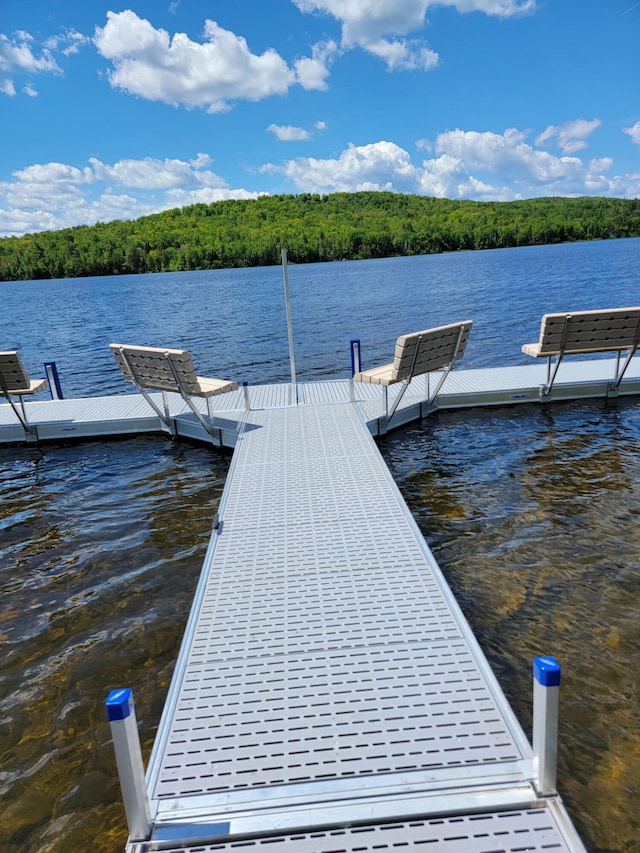 17 Kokadjo N Rd, Frenchtown Twp, ME 04441 - dock area featuring a water view and a wooded view