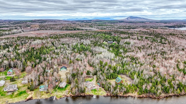 17 Kokadjo N Rd, Frenchtown Twp, ME 04441 - view of property location featuring a forest and a water and mountain view