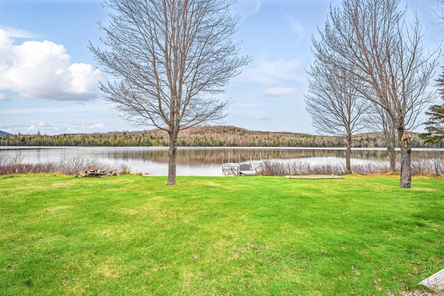 17 Kokadjo N Rd, Frenchtown Twp, ME 04441 - view of green lawn featuring a water view