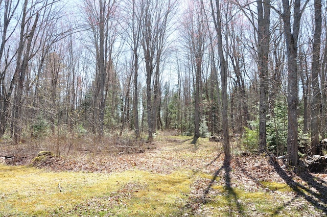 view of local wilderness featuring a forest view