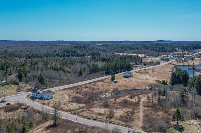 1357 Indian River Rd, Addison, ME 04606 - aerial view of a forest
