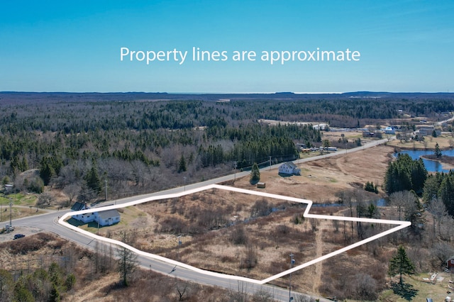 1357 Indian River Rd, Addison, ME 04606 - aerial view of property's location featuring a heavily wooded area and property boundaries highlighted