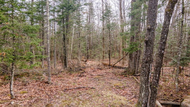 114 Smith Rd, Hudson, ME 04449 - view of tree filled area