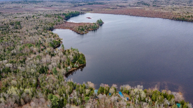 114 Smith Rd, Hudson, ME 04449 - aerial overview of property's location featuring a nearby body of water and a forest