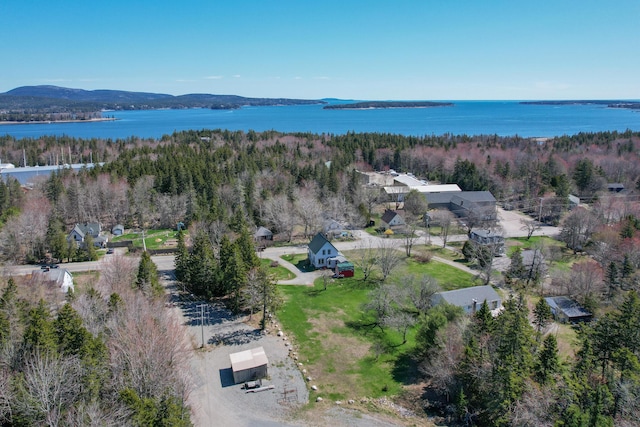 aerial view featuring a view of trees and a water and mountain view