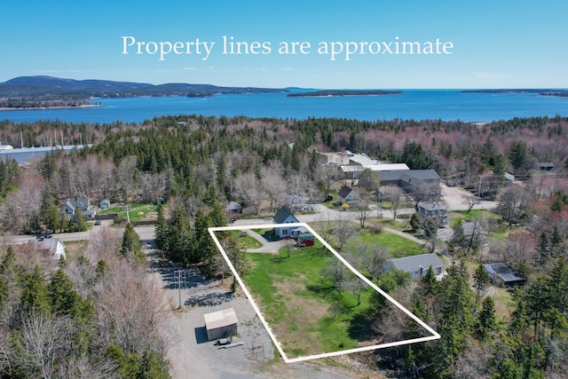 drone / aerial view featuring a view of trees and a water and mountain view