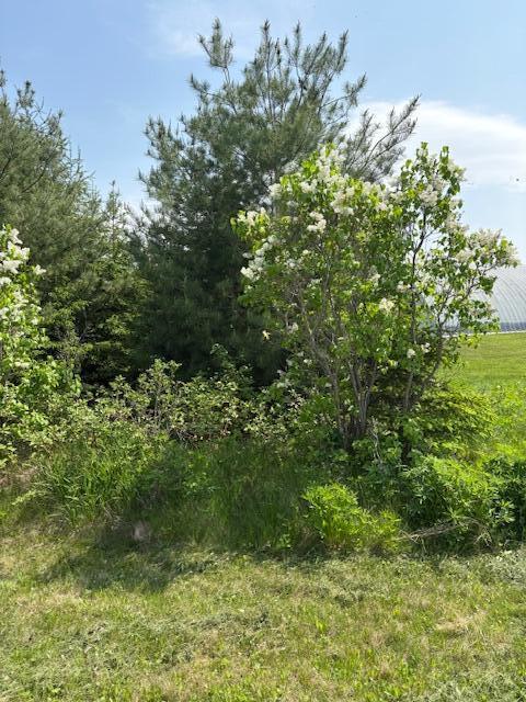 211 Main St, Saint Agatha, ME 04772 - photo 6
