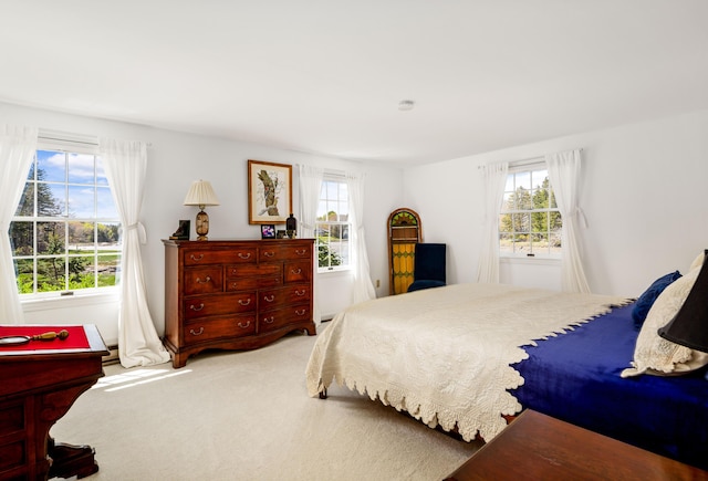 bedroom with carpet floors