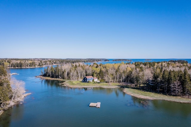 bird's eye view featuring a water view and a forest view