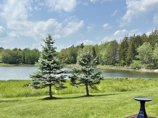 156 Scraggle Point Rd, Saint George, ME 04859 - water view