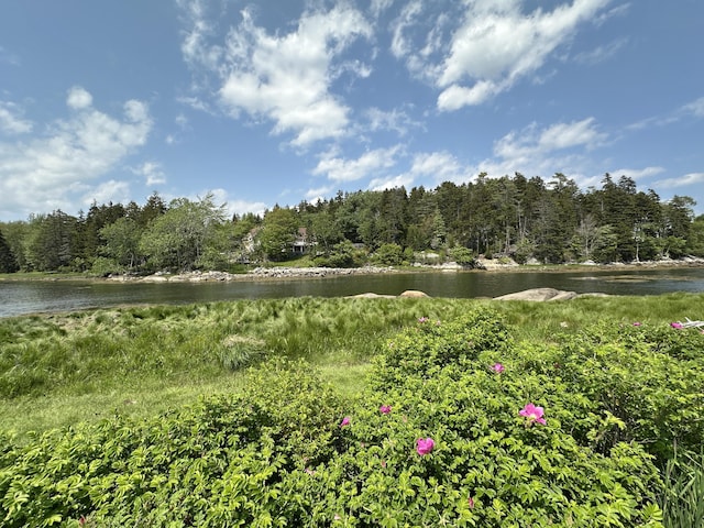 156 Scraggle Point Rd, Saint George, ME 04859 - water view featuring a forest