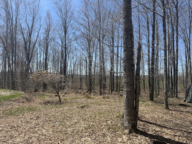 76 Norton Hill Rd, Dover-Foxcroft, ME 04426 - view of landscape with a wooded view