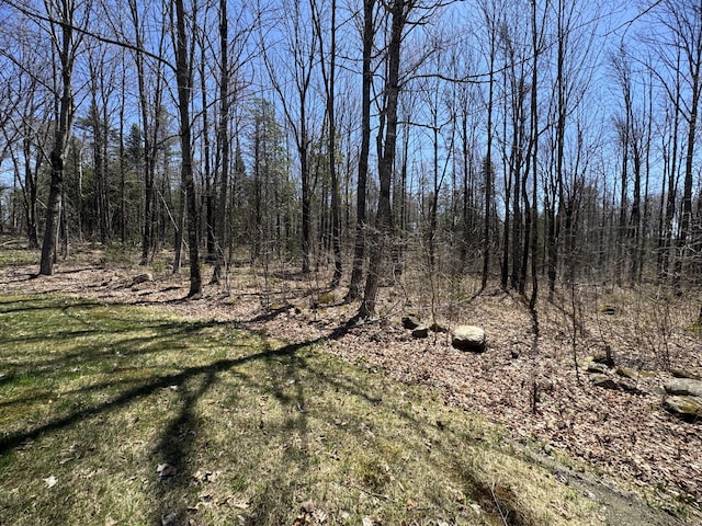76 Norton Hill Rd, Dover-Foxcroft, ME 04426 - view of local wilderness